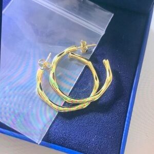 Twisted Gold Hoop Earrings
